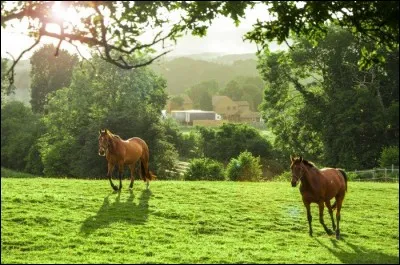 Dans quel endroit va-t-il vivre en particulier ?