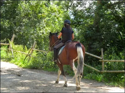 Quelle difficulté préfères-tu ?