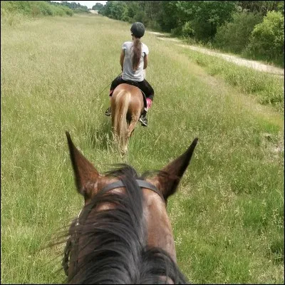 Quel est ton rêve à cheval ?