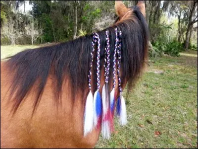 Quelle est ta coiffure préférée ?