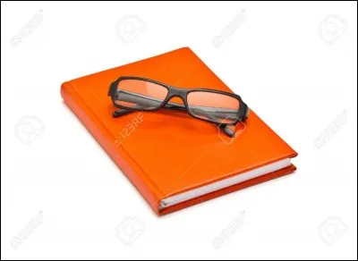 Louis XIII a pu lire les "Essais" de Michel de Montaigne.