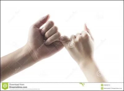 Scène 3
Quelle promesse fait Scapin lors de cette scène ?