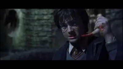 Combien d'Horcruxes a-t-il créés et quels sont-ils ?