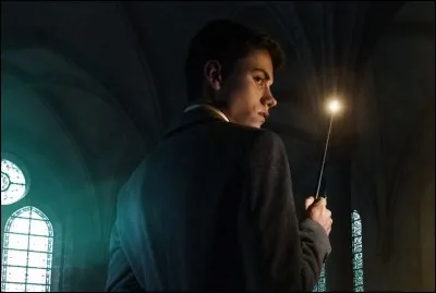 Qui vient lui annoncer qu'il est un sorcier ?