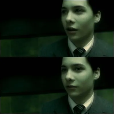 À quel professeur confie-t-il sa découverte sur les Horcruxes ?