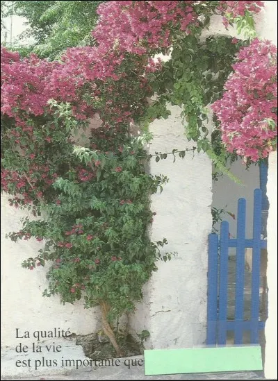 Qu'est ce qui est plus importante ?