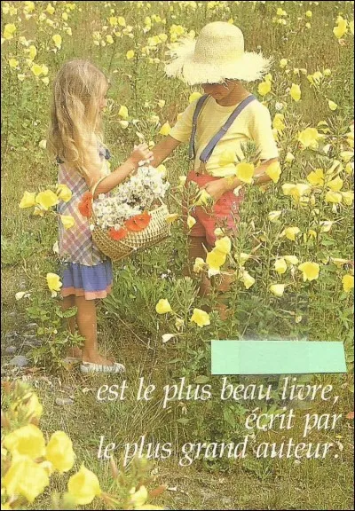 Quels sont les deux mots qui manquent ?