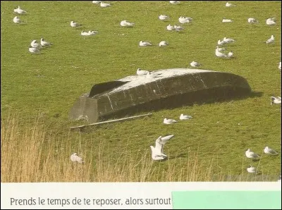 Terminez cette phrase :