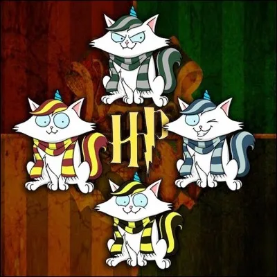 Quelle est sa maison dans « Harry Potter » ?