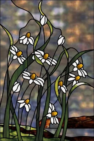 Quelle fleur n'est pas de la même famille que la marguerite ?