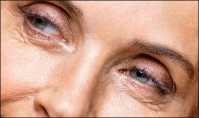 Qui est l'interprète belge de la chanson ''Les Yeux de ma mère'' en 1995 ?