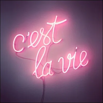La vie est ...