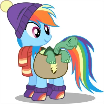 Combien d'animaux possèdes-tu ?