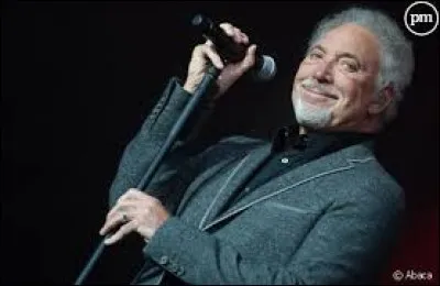 Tom Jones a chanté ''Sex Bomb'' pour l'élue de son coeur (tiens, contrepèterie ! ). Quelle artiste ne peut-on pas classer parmi les ''sex bombs'' ?