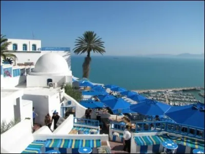 Bien qu'il ait chanté ''Au Café des Délices'', un merveilleux endroit près de Tunis, Patrick Bruel est né en Algérie. Quel était son nom de famille ?