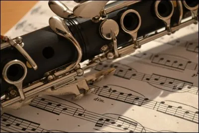 Quel est le mot pour ceci en espagnol ?