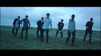 De quel vidéo clip provient cette image ?