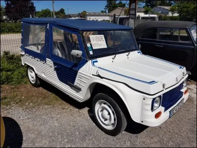 Le méhari est un petit dromadaire utilisé pour des courses au Sahara et en Afrique du Nord.