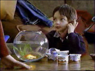 Comment s'appelle le poisson rouge de ce charmant garçon qu'il accuse d'avoir mangé tous les chocoSui's ? "Tu pousses le bouchon un peu loin _______" ?