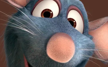 Quiz Ratatouille