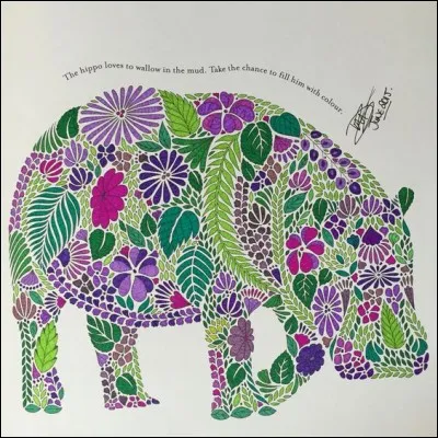 Quel est l'animal illustré ?