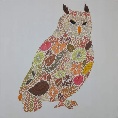 Dans quel dessin animé rencontre-t-on "Maître Hibou" ?