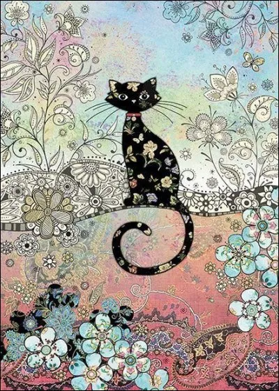 À qui appartient le chat noir nommé Salem ?