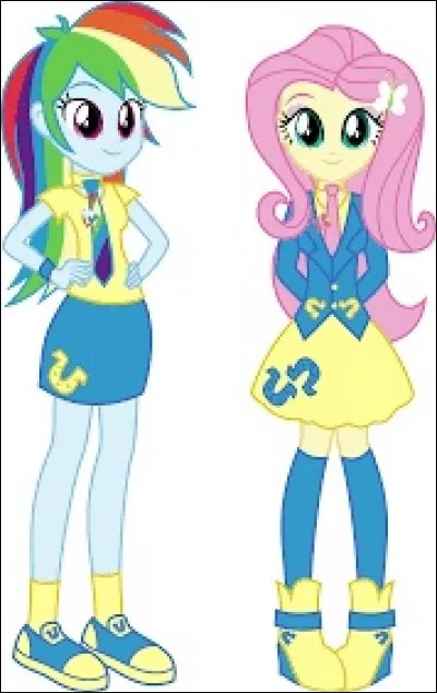 Es-tu Wondercolt, Equestria ou Shadowbolt ?