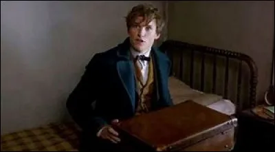 Dans les "Animaux fantastiques 1", quelle est la créature que l'on voit sortir de sa valise au début du film ?