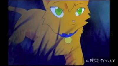 Si un chat domestique te demande de rejoindre ton clan, comment réagis-tu ?