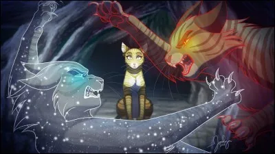 Laquelle de ces attaques n'est pas autorisée ?