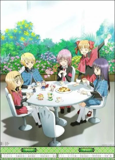 Comment s'appelle le groupe d'elite de l'academie Seiyo