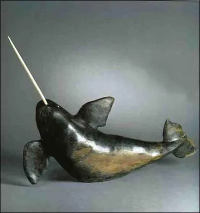 Comment appelle t-on cet animal ?