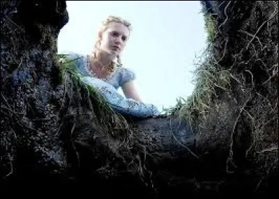 Comment appelle-t-on le trou dans lequel Alice tombe ?