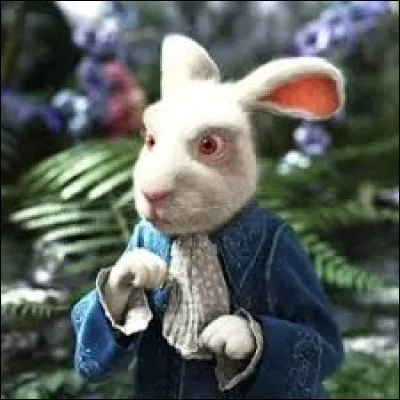 Quels sont les animaux de compagnie de la Reine Blanche ?