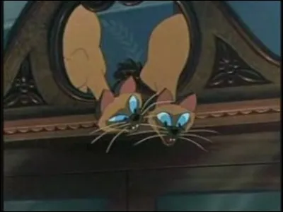 Qui sont ces m&eacute;chantes ?