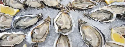 D'où proviennent ces coquillages ?