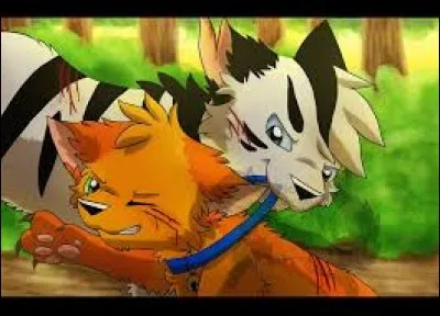 Contre qui se bat-il à son arrivée au Clan du Tonnerre ?