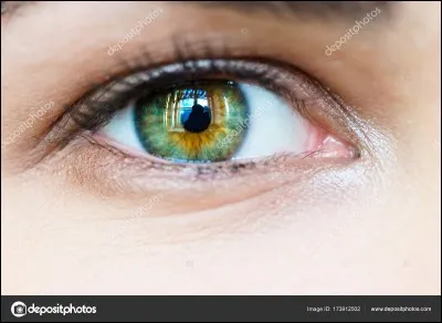 De quelle couleur sont tes yeux ?