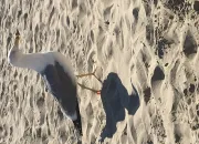 Quiz Quiz cin�ma populaire