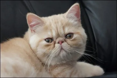 Et celle-ci, la reconnaissez-vous ?