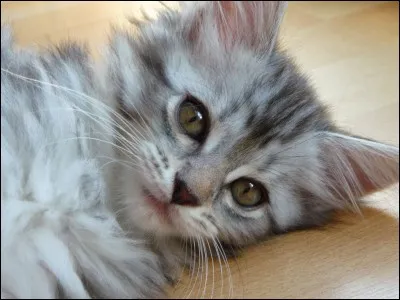 Connaissez-vous celle-ci ?