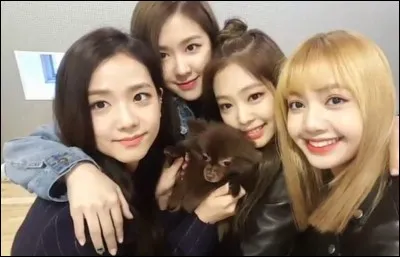 Quel animal aimes-tu le plus ?