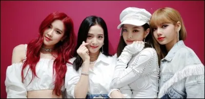 Qui voudrais-tu être ?