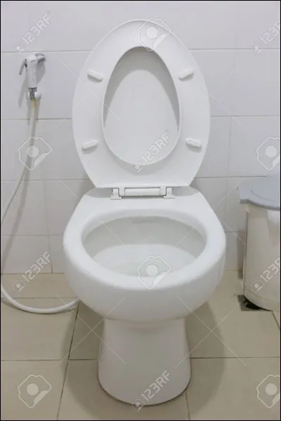 Qui a invent&eacute; les toilettes ?