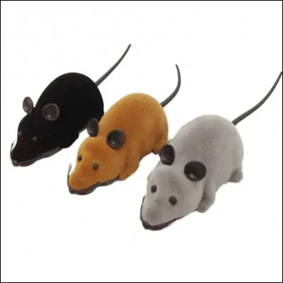 On l'attrape par la queue, on la montre à ces messieurs !