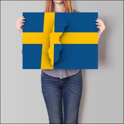 À quoi correspond le drapeau ?