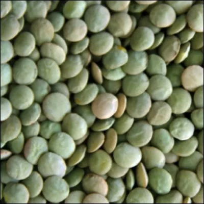 Quelle légumineuse possède une AOC de la région ?