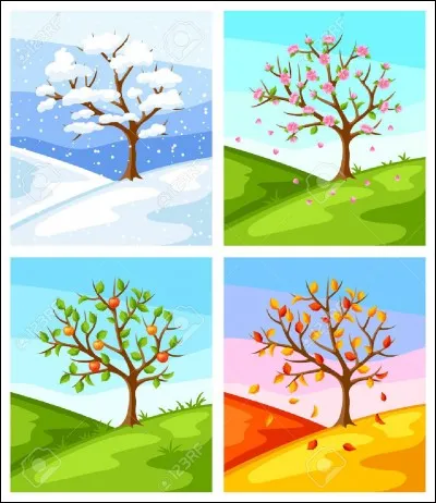 Quelle est ta saison préférée ?