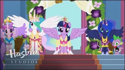 Quels sont les noms des poneys, dans l'ordre ?